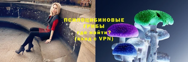хмурый Алзамай