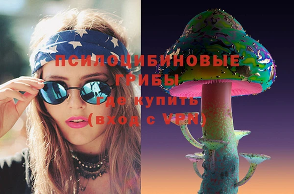 хмурый Алзамай