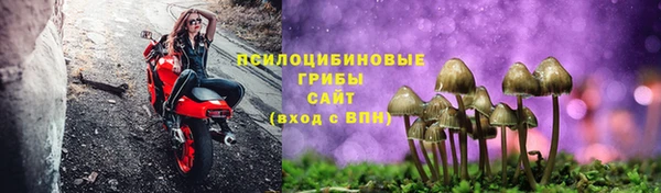 a pvp Саяногорск